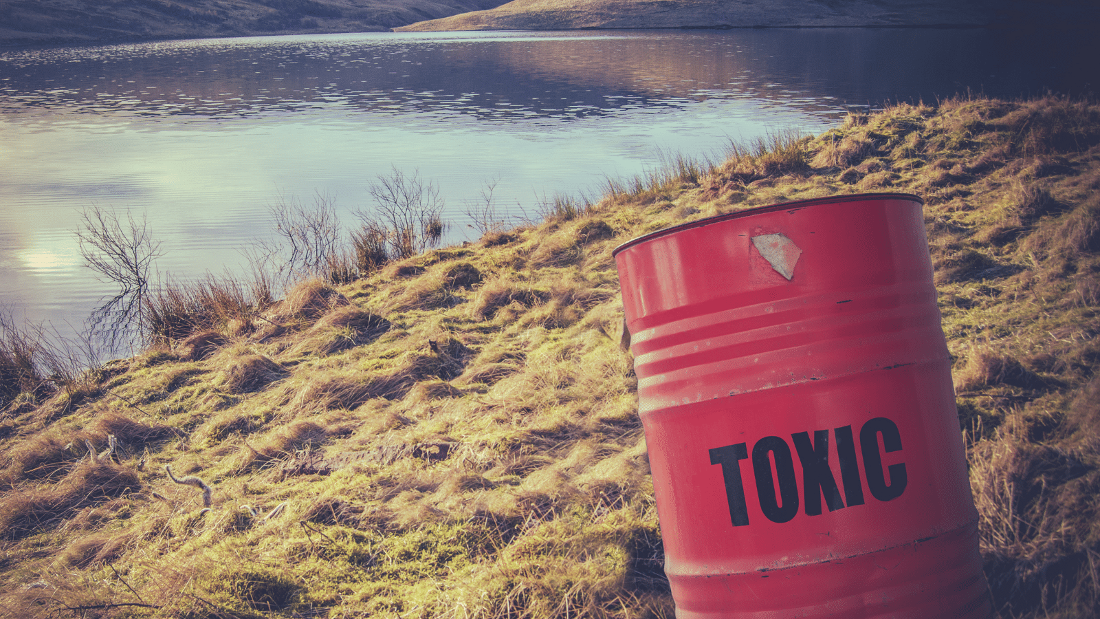A red barrel labeled TOXIC sits on grassy ground near the edge of a body of water, with hills and calm water in the background.