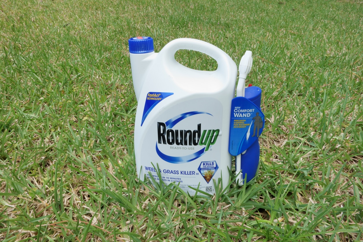a bottle of Roundup weed killer sits on green grass