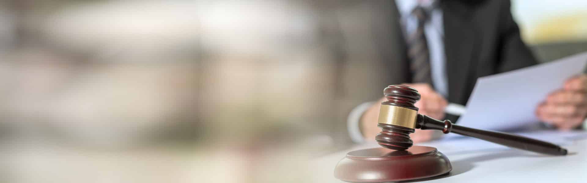 Lawyer reading legal document; panoramic banner